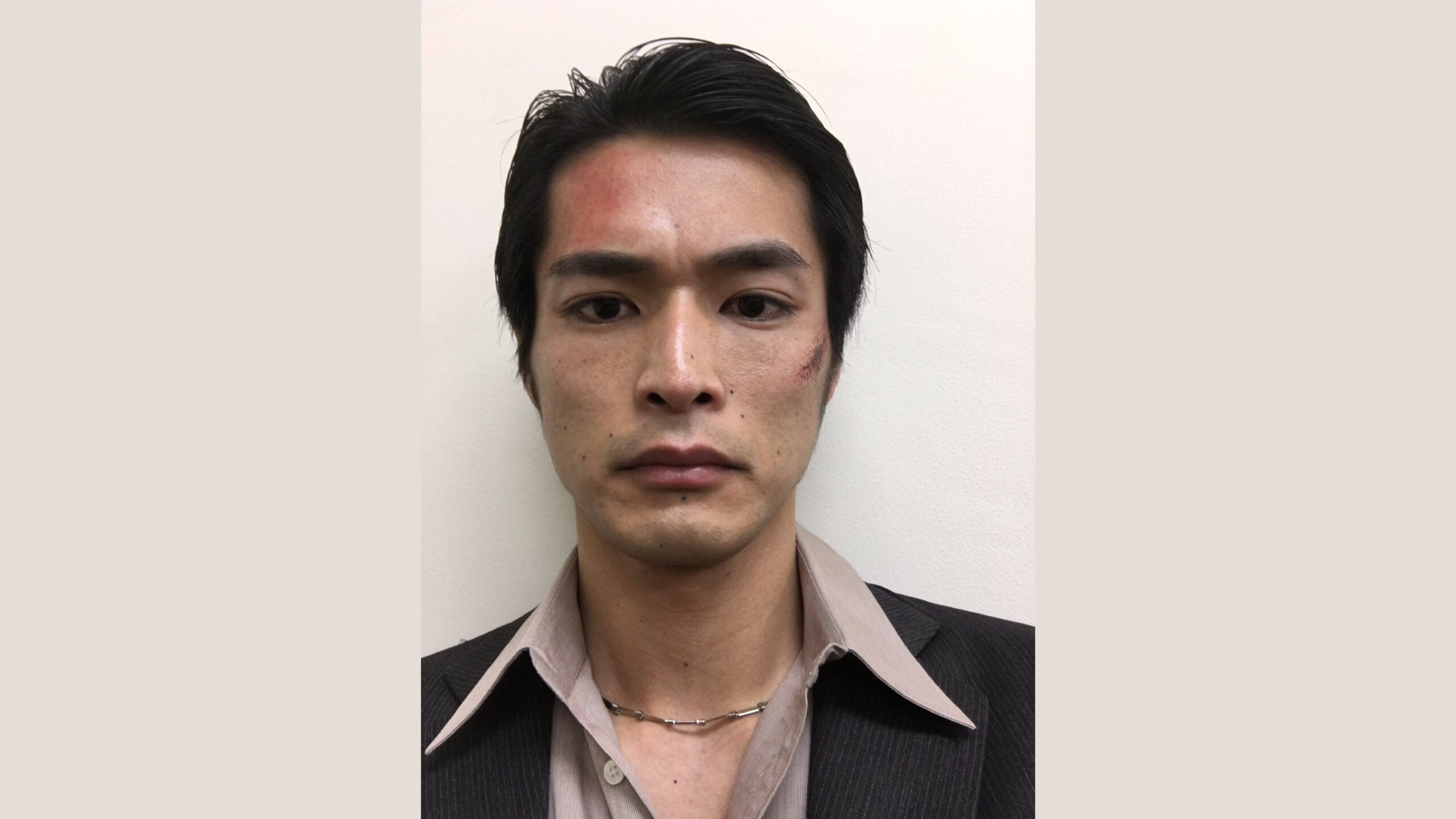 活動歴および当時の関連ビジュアル記録