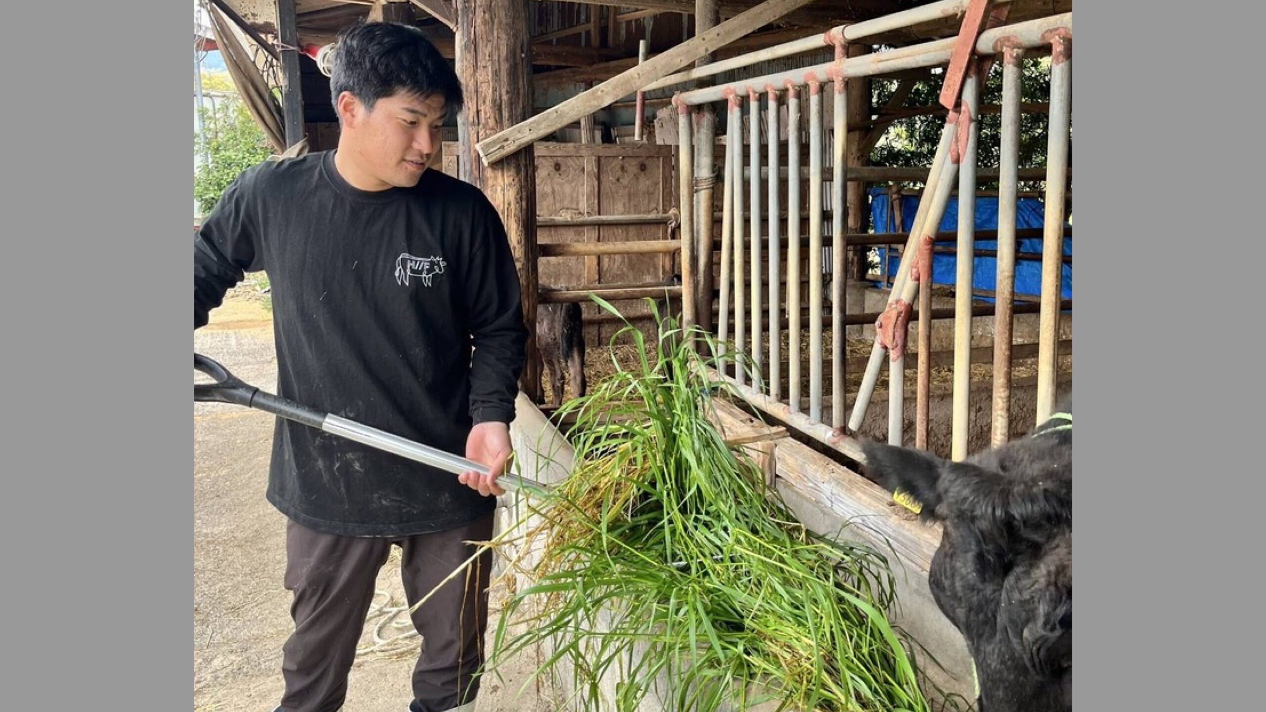 中編】努力もリスクを負うこともできなかった高卒Jリーガー平秀斗が、牛に全力コミットする経営者になるまで - NEVEROVER